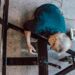 chair workouts for seniors with arthritis - 10-Minute Chair Workouts for Seniors with Arthritis