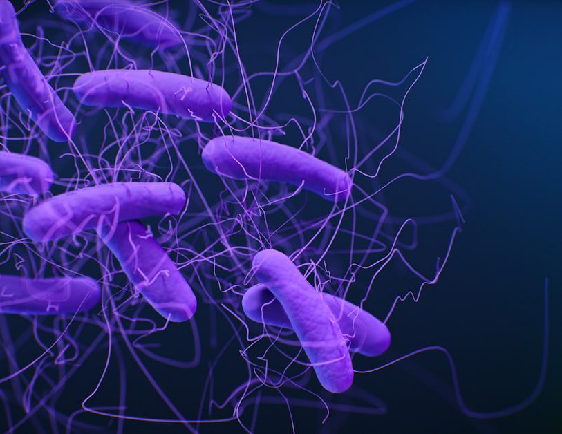 The Gut Microbiome Connection - fibermaxxing for weight loss