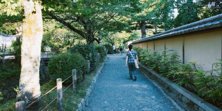 japanese interval walking for back pain - Japanese Interval Walking for Back Pain: The Viral Method That Actually Works