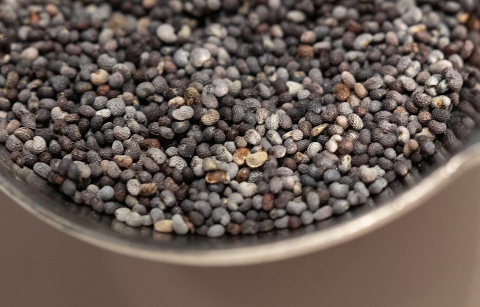 How Chia Seeds Support Heart Health - chia seeds omega boost benefits