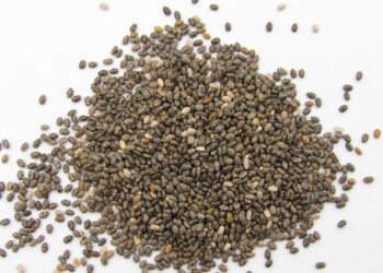 chia seeds omega boost benefits - Chia Seeds Omega Boost Benefits: What Happens When You Eat Them Daily
