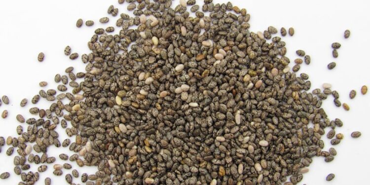 chia seeds omega boost benefits - Chia Seeds Omega Boost Benefits: What Happens When You Eat Them Daily