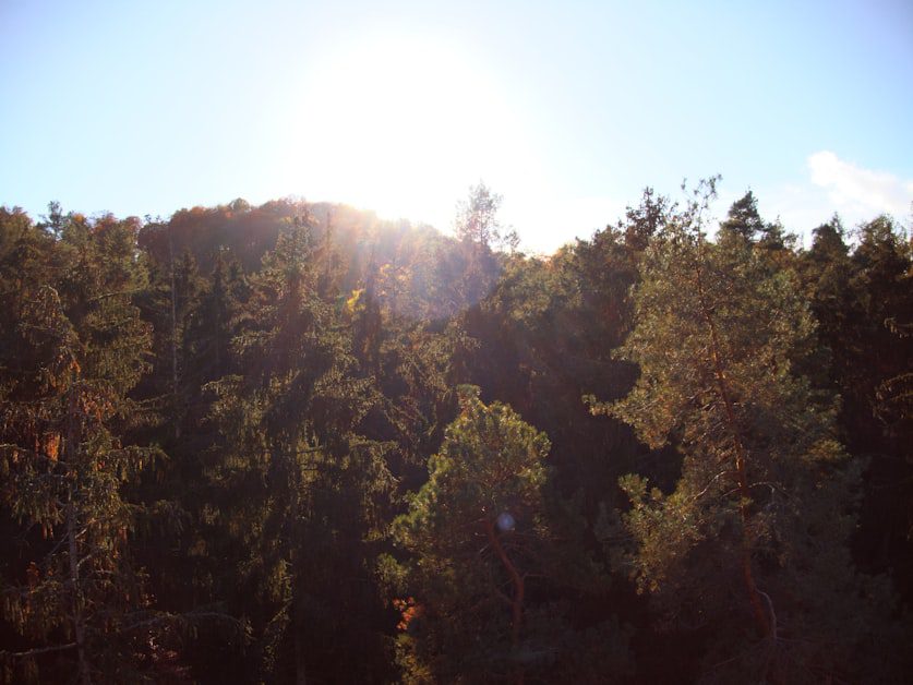 Get 5 to 10 Minutes of Morning Sunlight - daily habits to reduce cortisol naturally