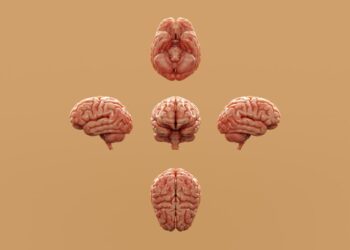 daily habits to reduce brain fog naturally - Daily Habits to Reduce Brain Fog Naturally: 9 Science-Backed Habits for Women