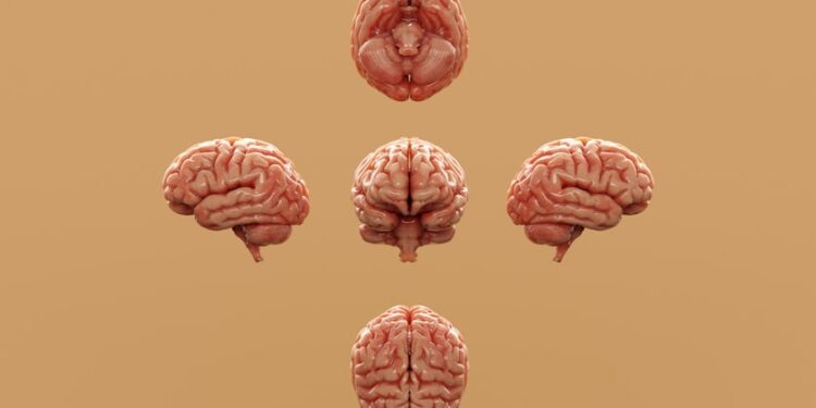 daily habits to reduce brain fog naturally - Daily Habits to Reduce Brain Fog Naturally: 9 Science-Backed Habits for Women