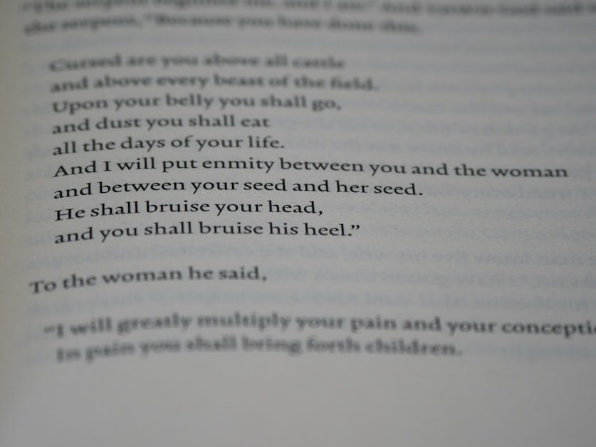 Tender and Fierce: Two Sides Women Often Miss - how to practice self compassion as a woman