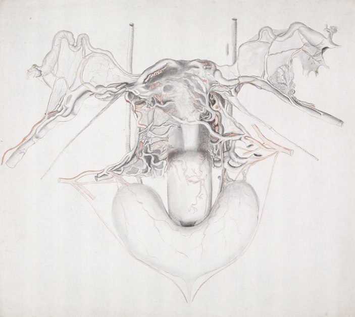 The Nervous System Piece - how to stop people pleasing as a woman