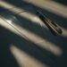 shadow work for beginners - How to Do Shadow Work for Beginners: 8 Steps That Work