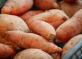 sweet potato cancer fighting superfood - Sweet Potato as a Cancer-Fighting Superfood: What Research Actually Shows