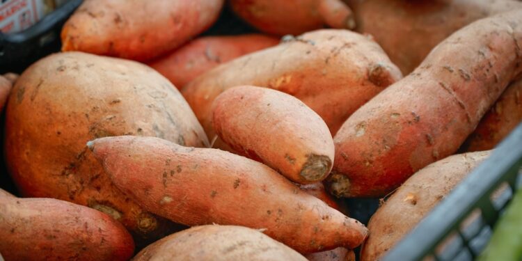 sweet potato cancer fighting superfood - Sweet Potato as a Cancer-Fighting Superfood: What Research Actually Shows