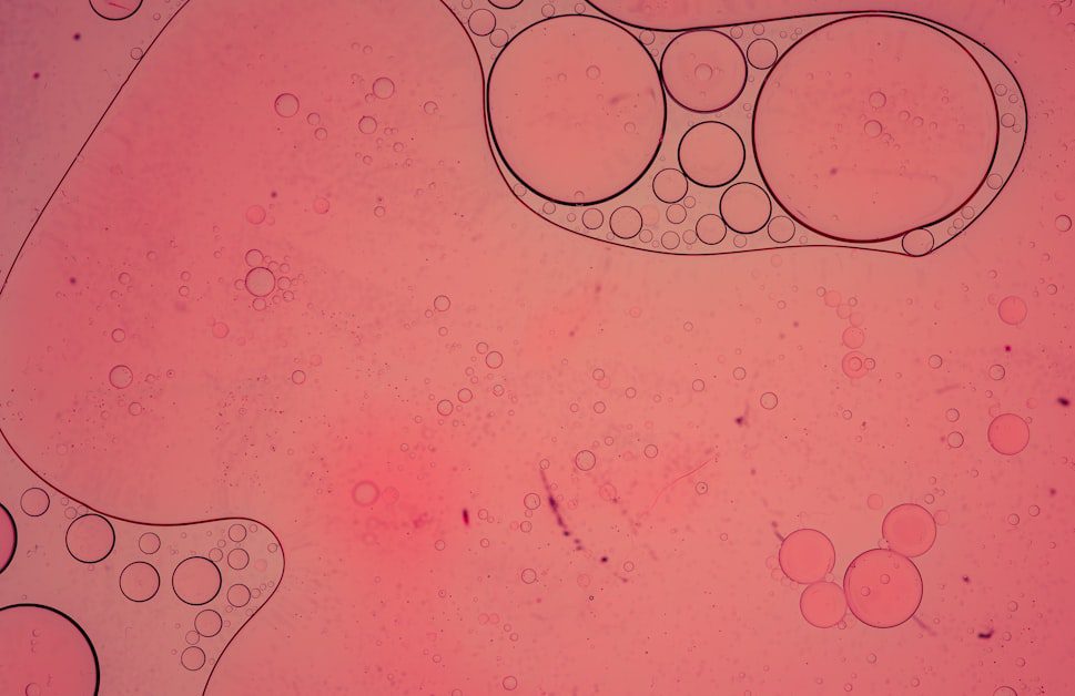 What the Follicular Phase Actually Does - best foods to eat during follicular phase