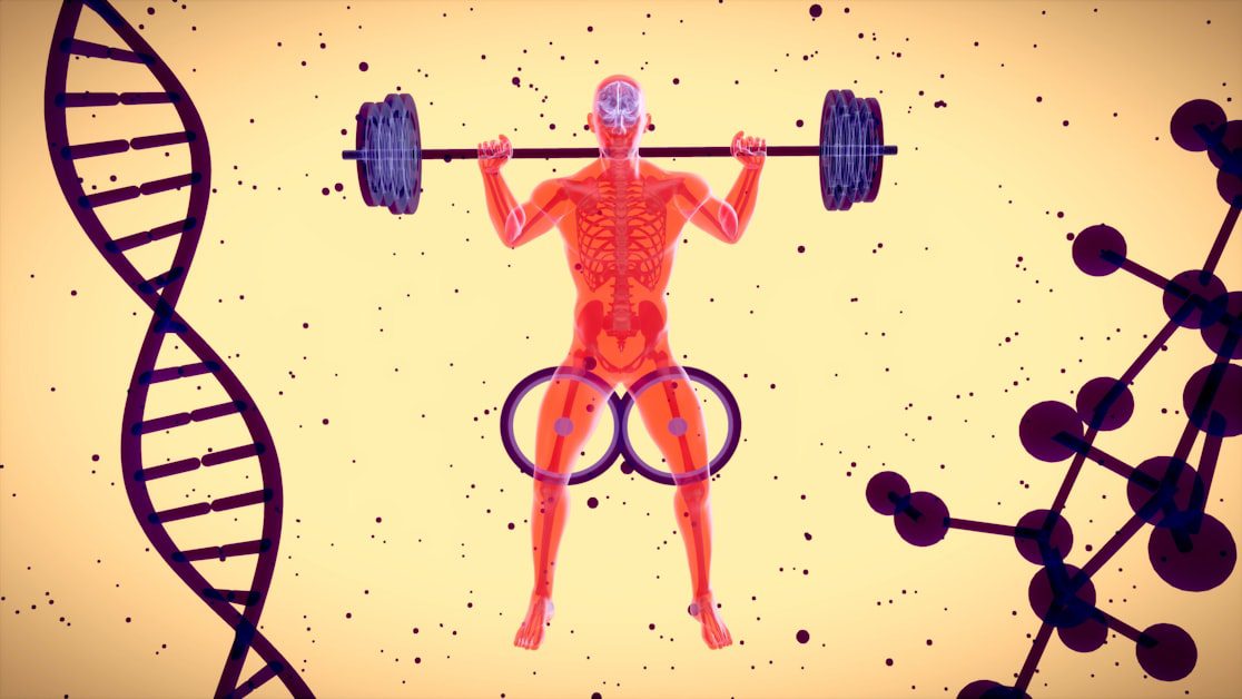 The Science Behind Beginner Gains - best home workout plan for women beginners
