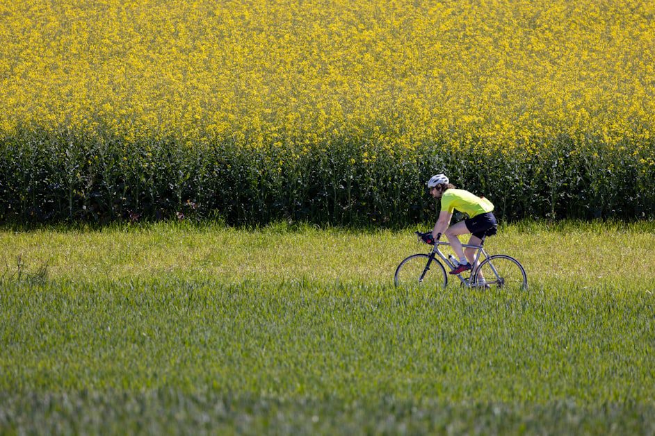 What Is Seed Cycling - seed cycling for hormone balance