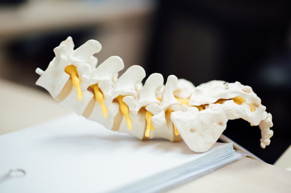Bone Density, Body Composition, and the Spine - back pain during perimenopause