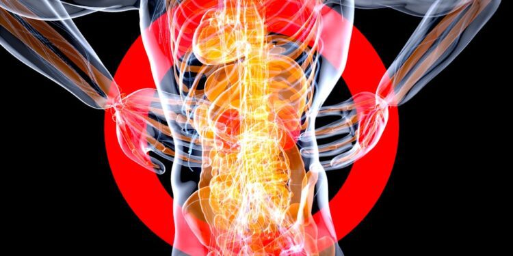 back pain during perimenopause - Lower Back Pain During Perimenopause: Causes and Relief