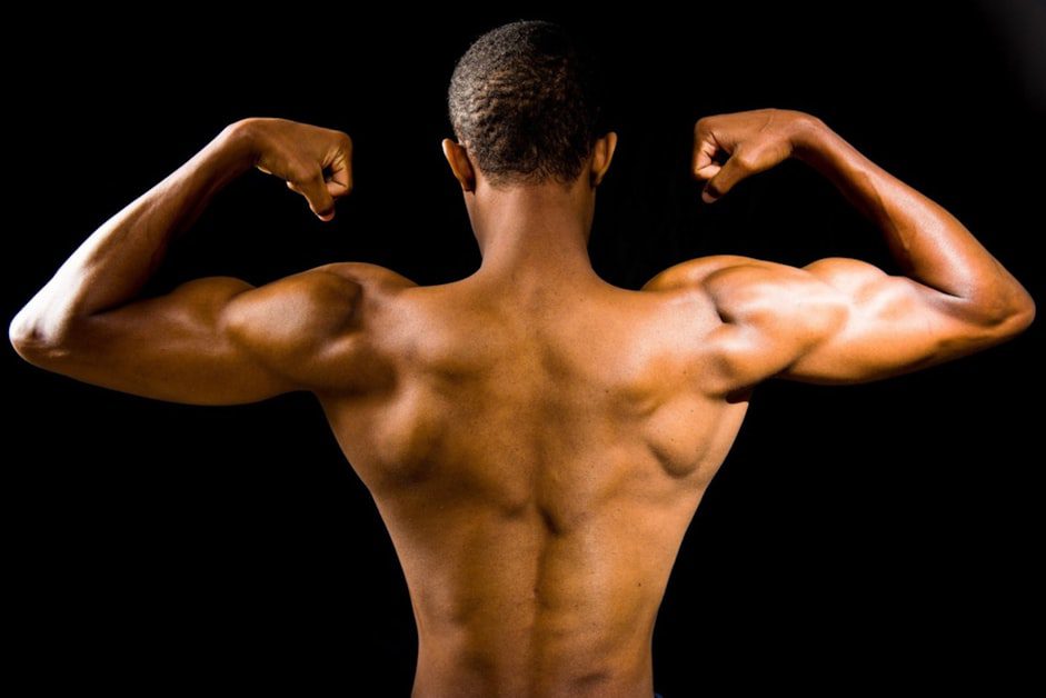 The Muscle Memory Myth: What the Research Actually Shows - getting back into the gym