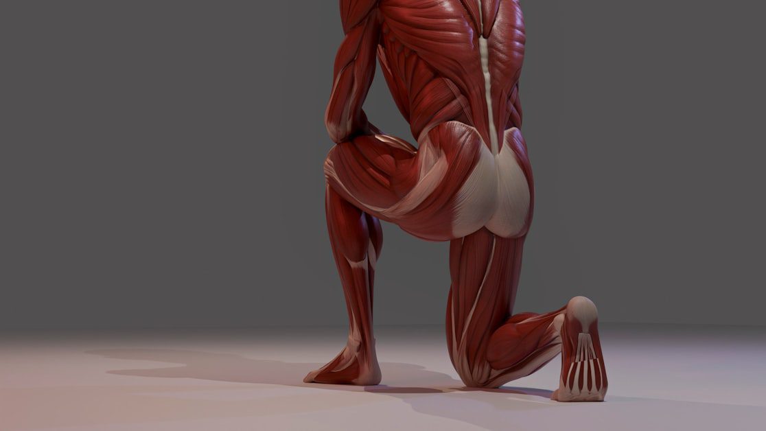 Sciatica vs Piriformis Syndrome: What Piriformis Syndrome Actually Is - sciatica vs piriformis syndrome