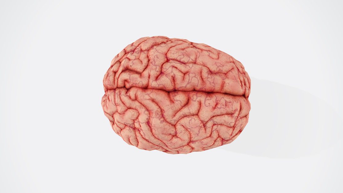 The Ten Minute Test: Telling Brain Tired From Body Tired - too tired to workout