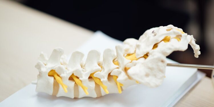 degenerative disc disease exercises - Degenerative Disc Disease Exercises: Safe Moves and What to Avoid
