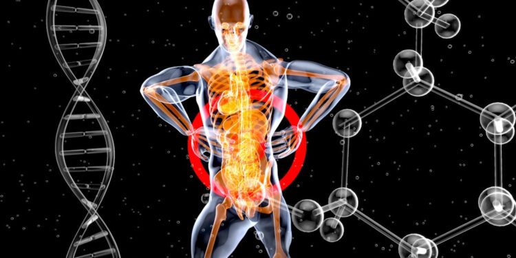 herniated disc back pain - Herniated Disc Back Pain: Causes, Symptoms, and Relief