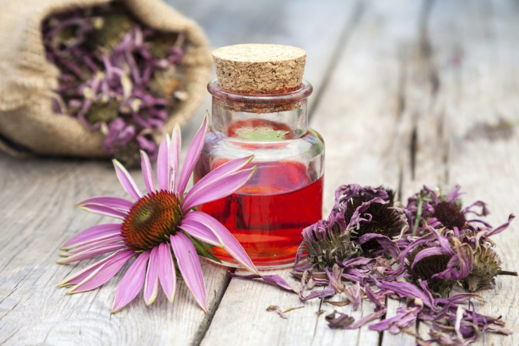 Essential oil in glass bottle and coneflower on wooden rustic table, bag with herbs, herbal medicine