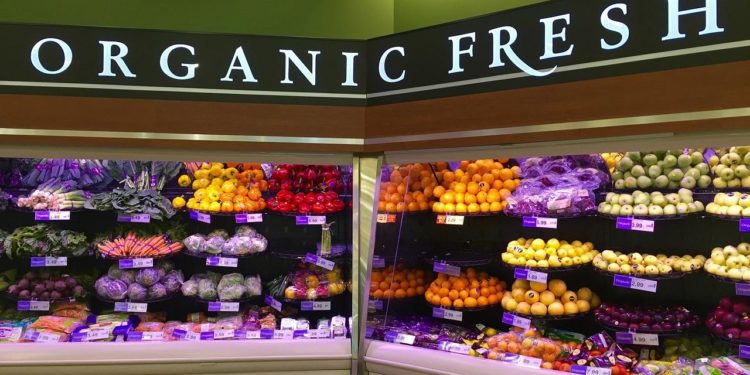 Healthy Food Store - Oragnic Fresh