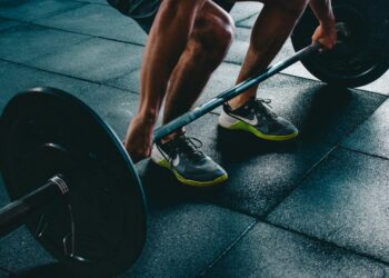 full-body circuit starters - beginner workout guide