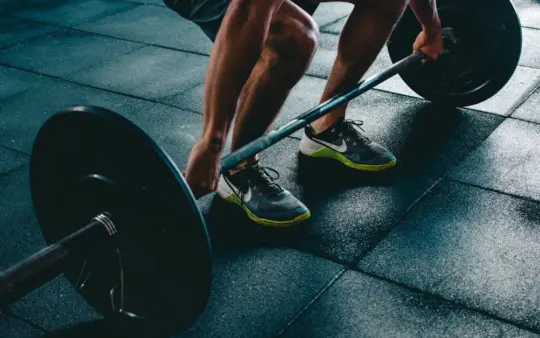 full-body circuit starters - beginner workout guide