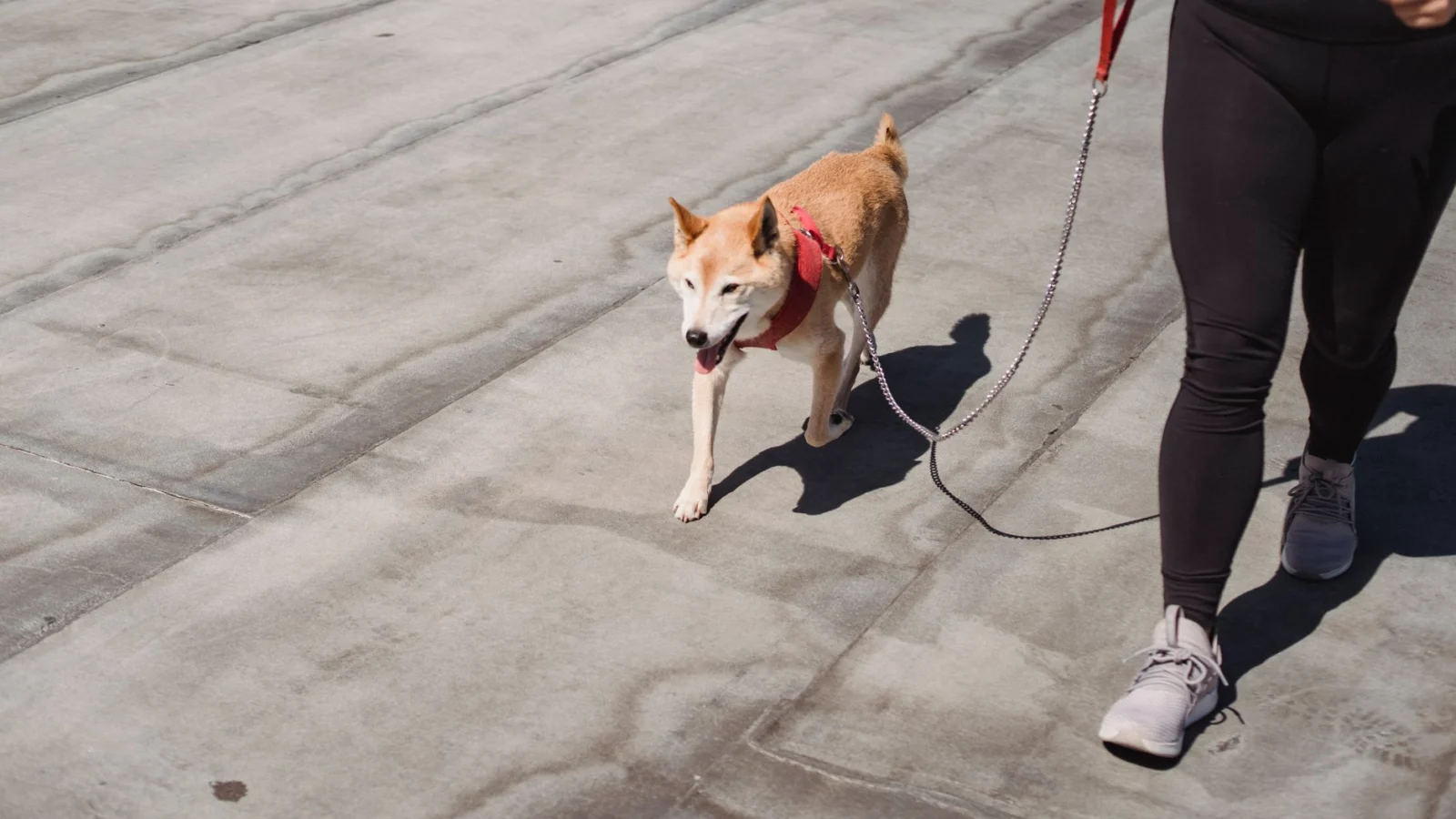 Why Japanese Interval Walking for Back Pain Works - japanese interval walking for back pain