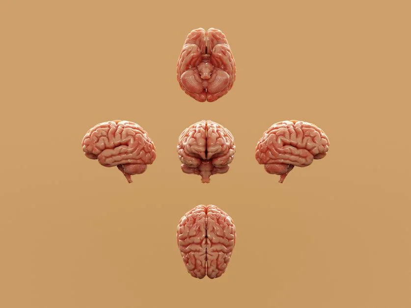 Brain Health, Mood, and Depression - omega-3 fish oil benefits for women