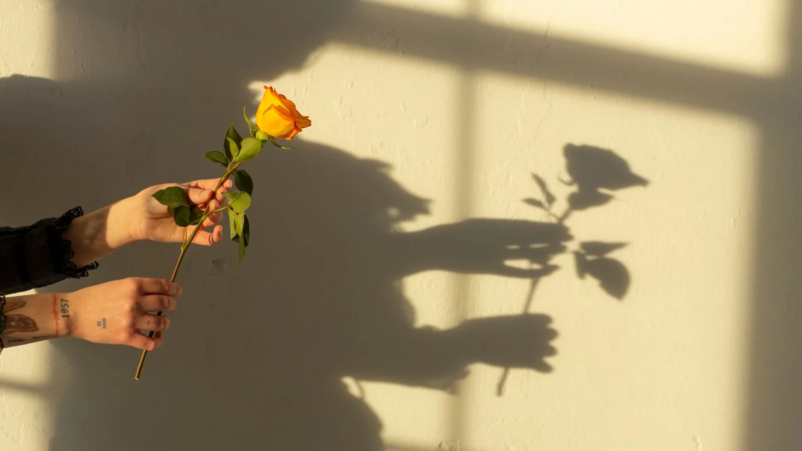 Step 2: Use Your Triggers as a Shadow Map - shadow work for beginners