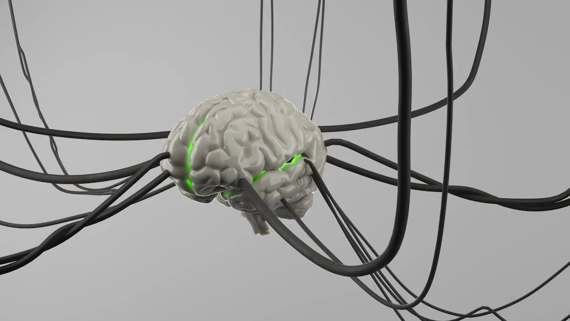 What Is Nervous System Dysregulation? - signs your nervous system is dysregulated