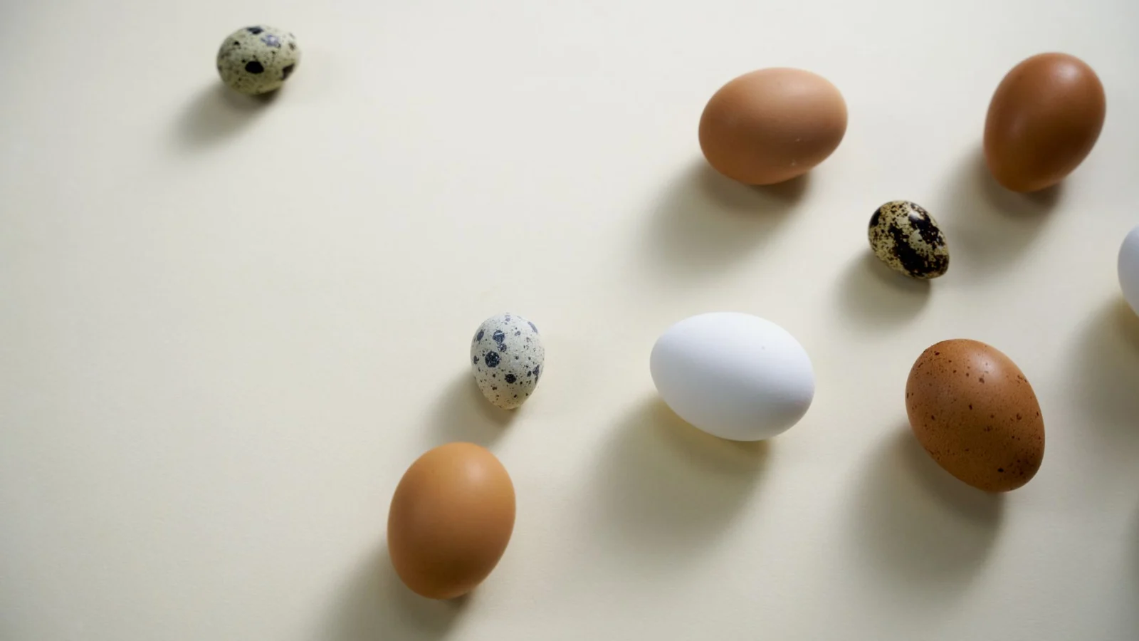 The 90-Day Egg Quality Window - best foods to eat during ovulation