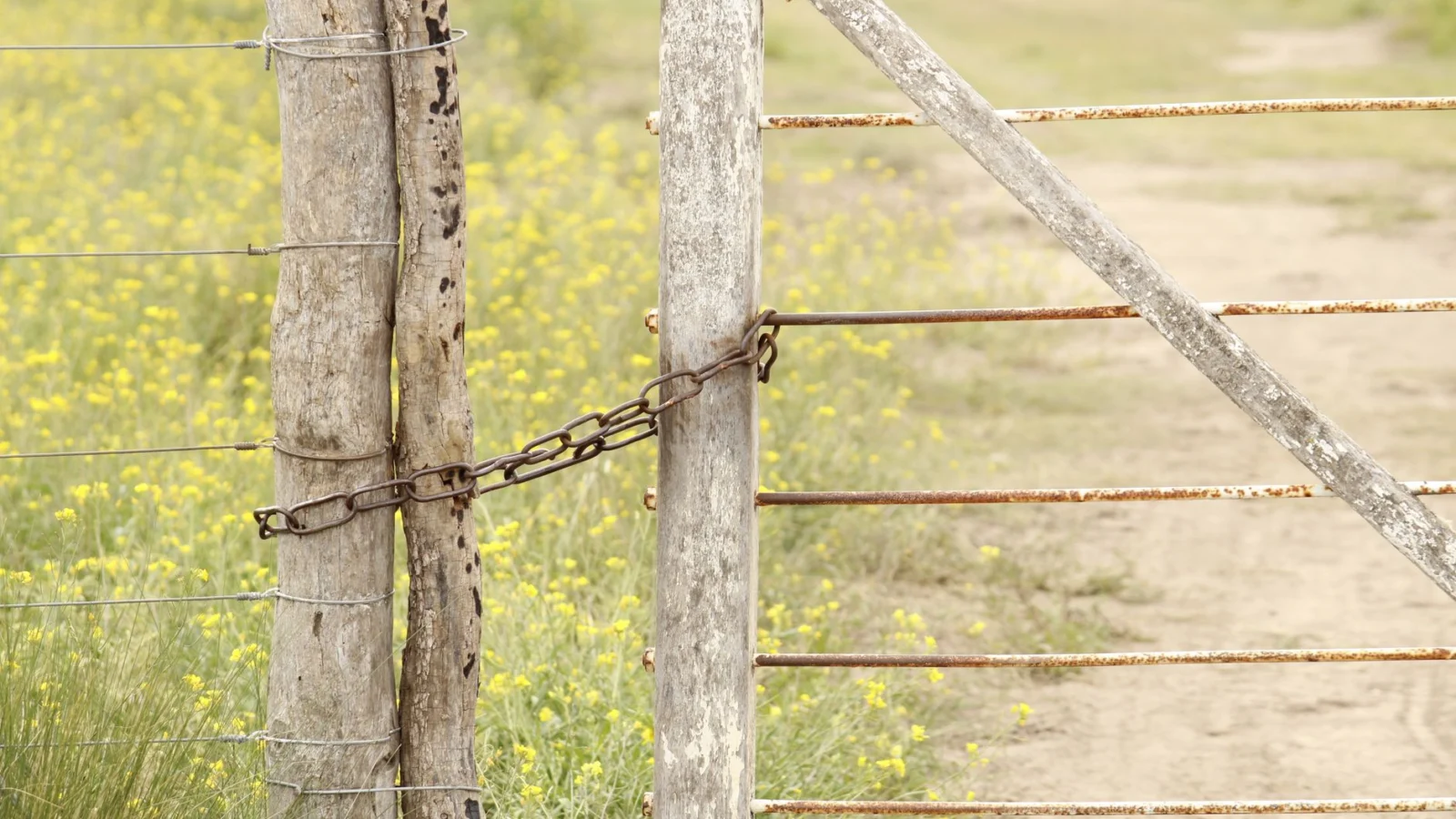 How to Set Boundaries Without Guilt: The Nervous System Layer - how to set boundaries without guilt