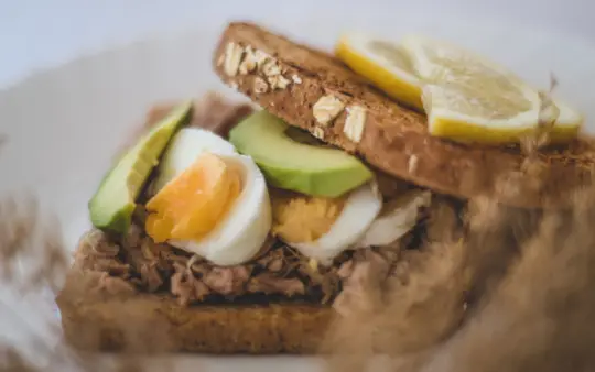 Breakfast recipes high in protein and fiber: close-up of a healthy avocado, tuna, and egg sandwich with lemon slices