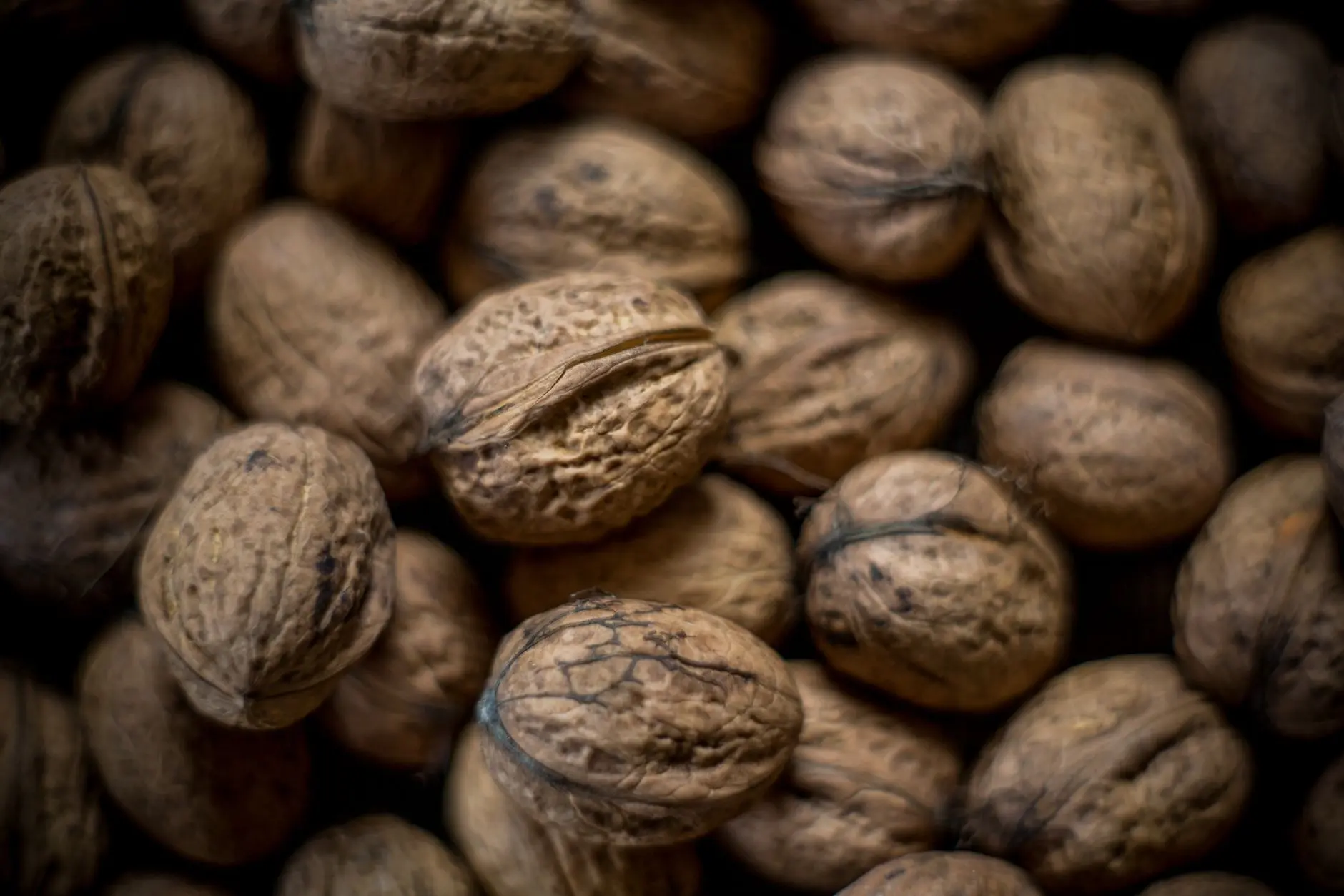 Detailed close-up photo showcasing the texture of brown walnut shells