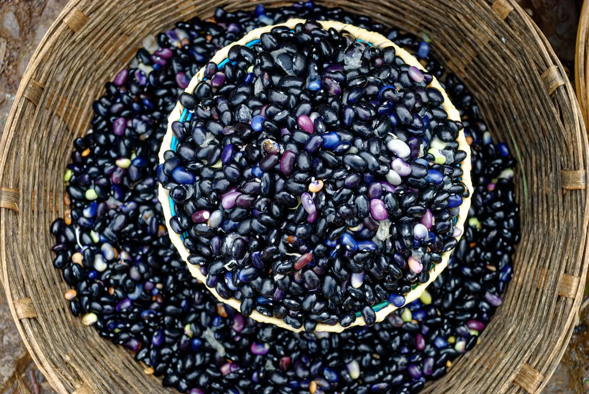 A collection of raw black beans in a woven basket, perfect for culinary and agricultural themes