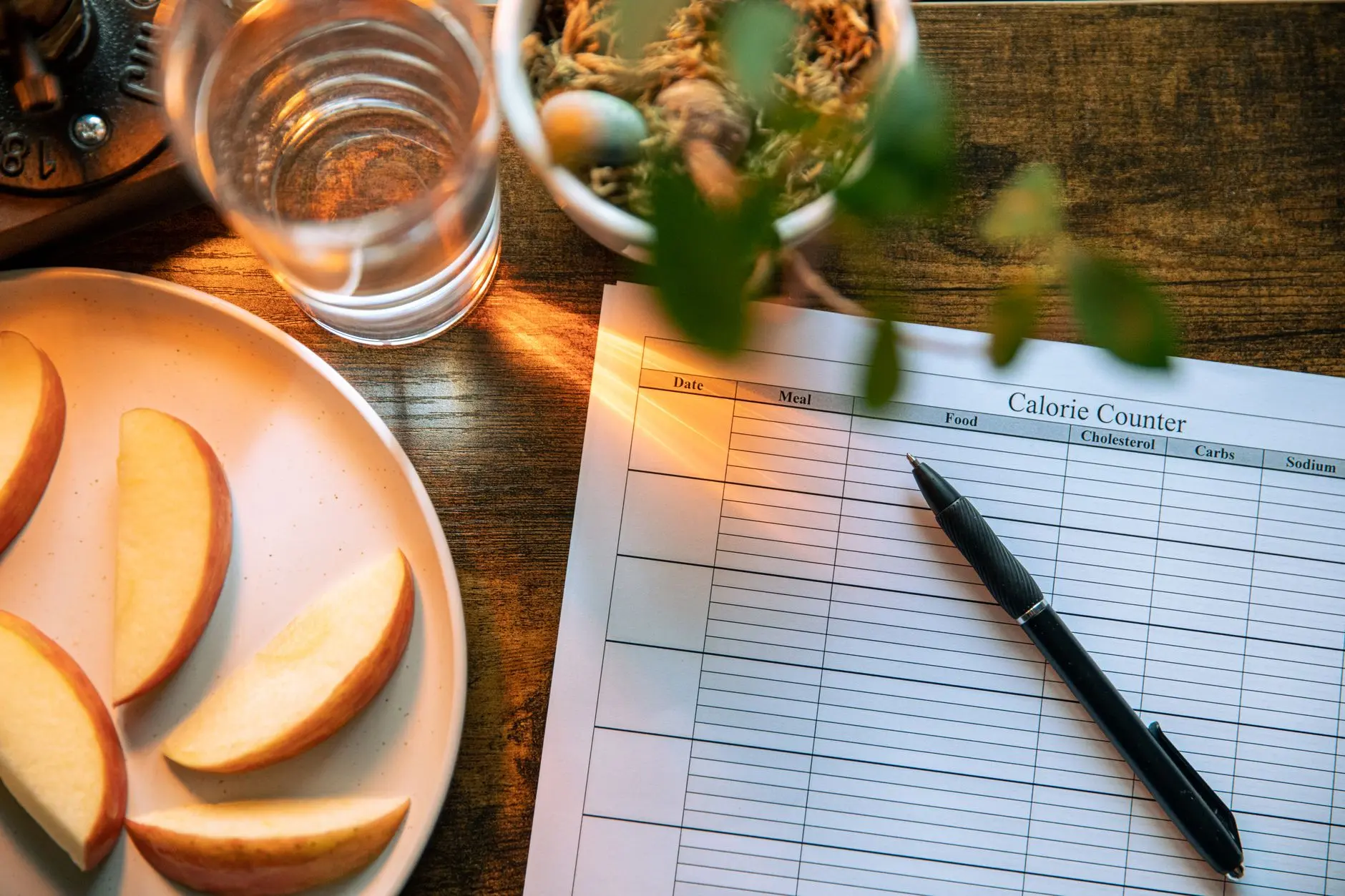 Apple slices, water glass, and a pen on a calorie counter sheet - a healthy lifestyle concept