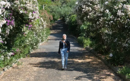 Woman walks along a scenic path lined with blooming trees in spring sunlight.
