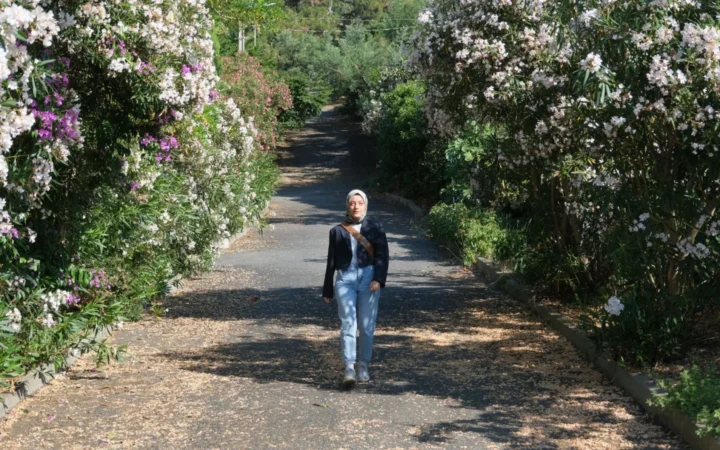 Woman walks along a scenic path lined with blooming trees in spring sunlight.