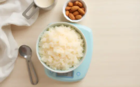 Seen from directly above on a light wooden table, a kitchen scale holding a bowl of cooked rice, a measuring cup, a smal, generated illustration