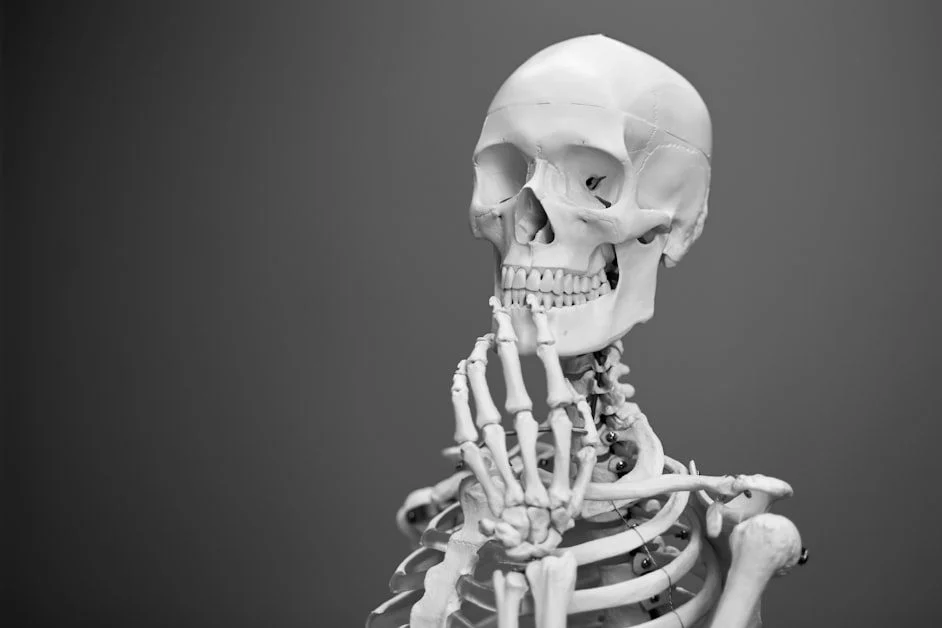 What Happens to Your Bones (And Why Lifting Is the Answer) - weight training for women over 40