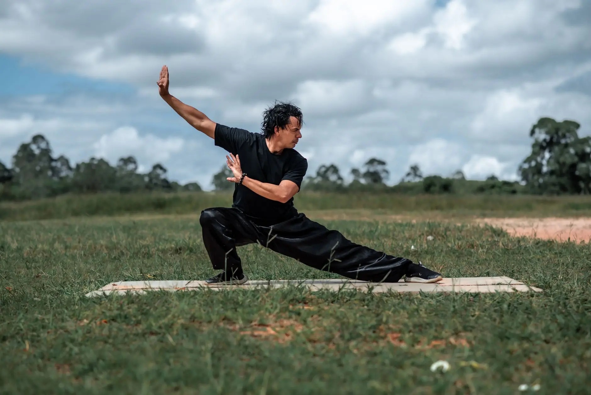 Adult man performing Tai Chi on a grassy field, showcasing martial arts mindfulness in nature