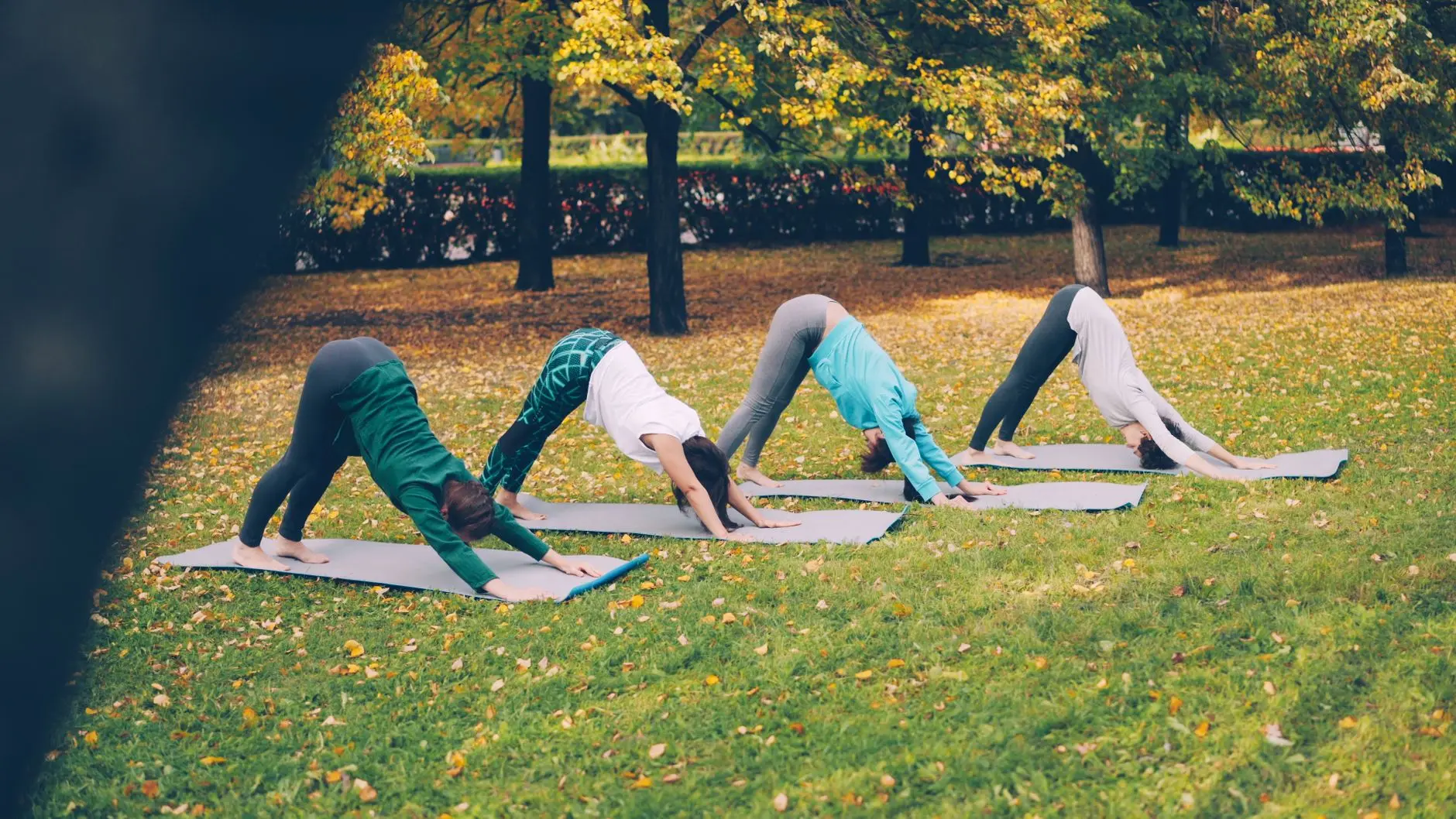 Four women perform yoga outdoors on a sunny autumn day, showcasing fitness and mindfulness