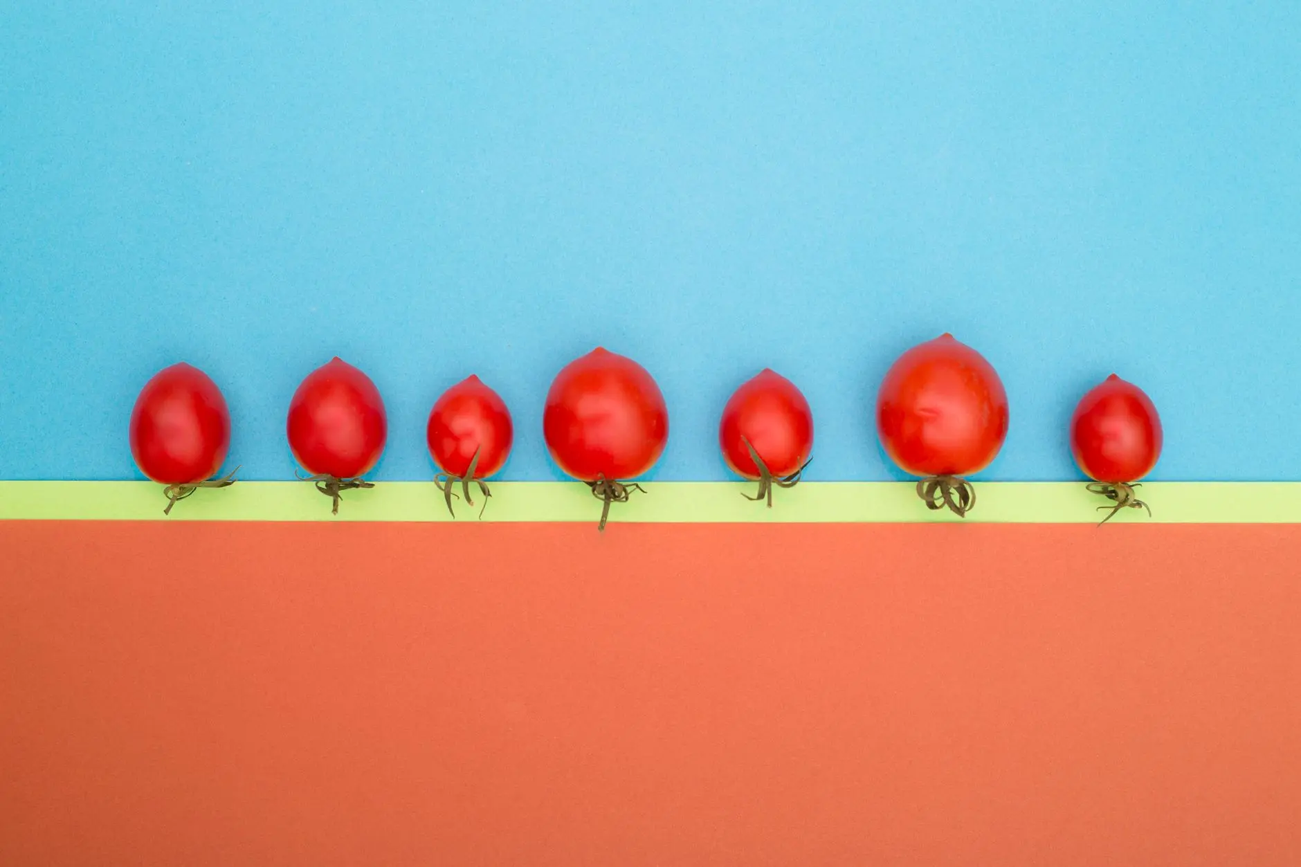 Seven cherry tomatoes arranged in a line on a vibrant red and blue background, creating a playful and colorful display